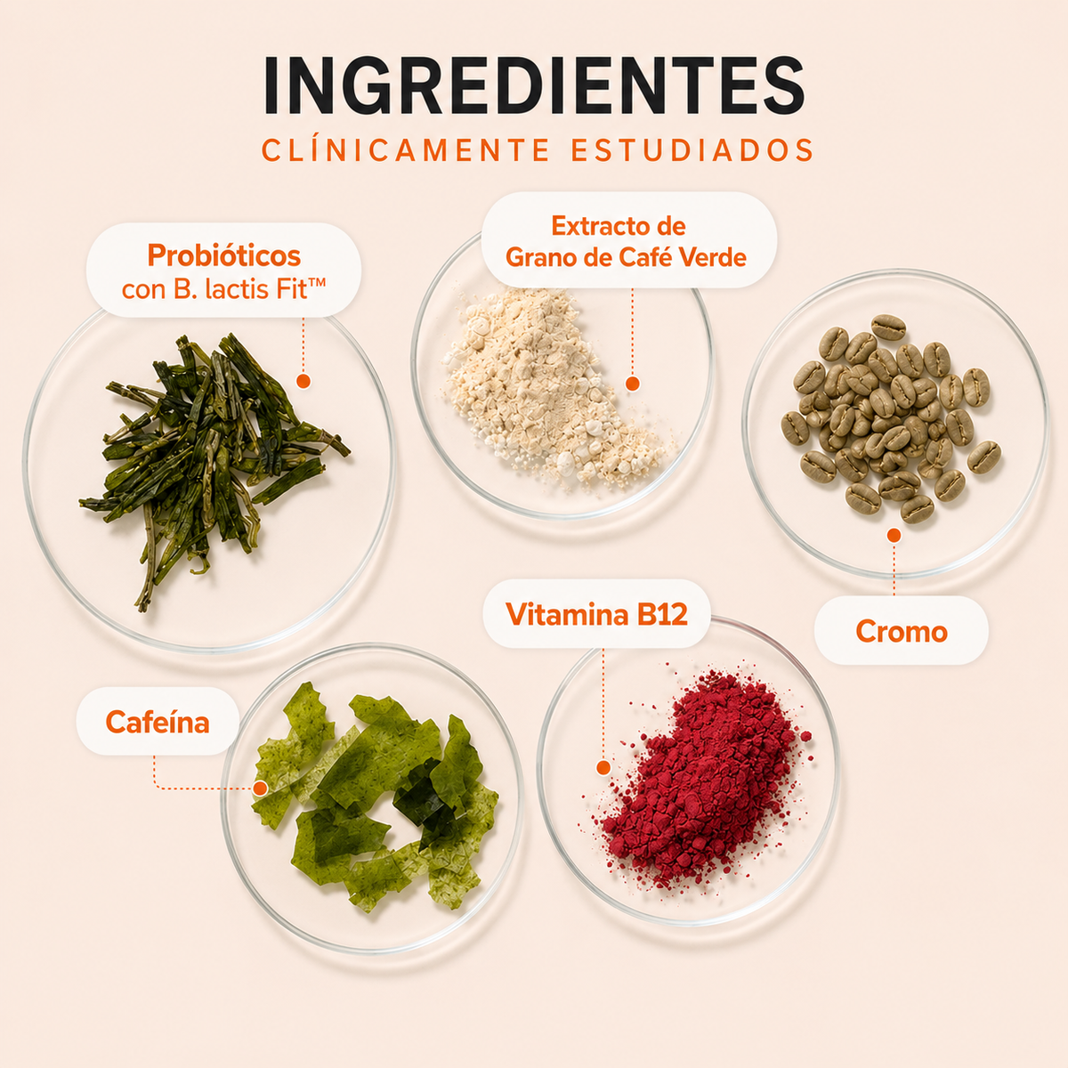 URO-ARG® I El apoyo que tu metabolismo necesita